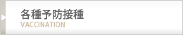 各種予防接種